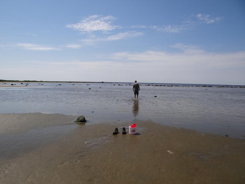 Sampling in shallow water on the coast near Glommen