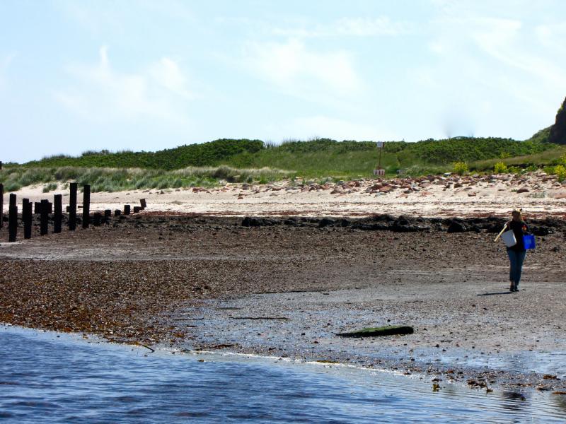 Sampling at low tide at the northern shore of Helgoland